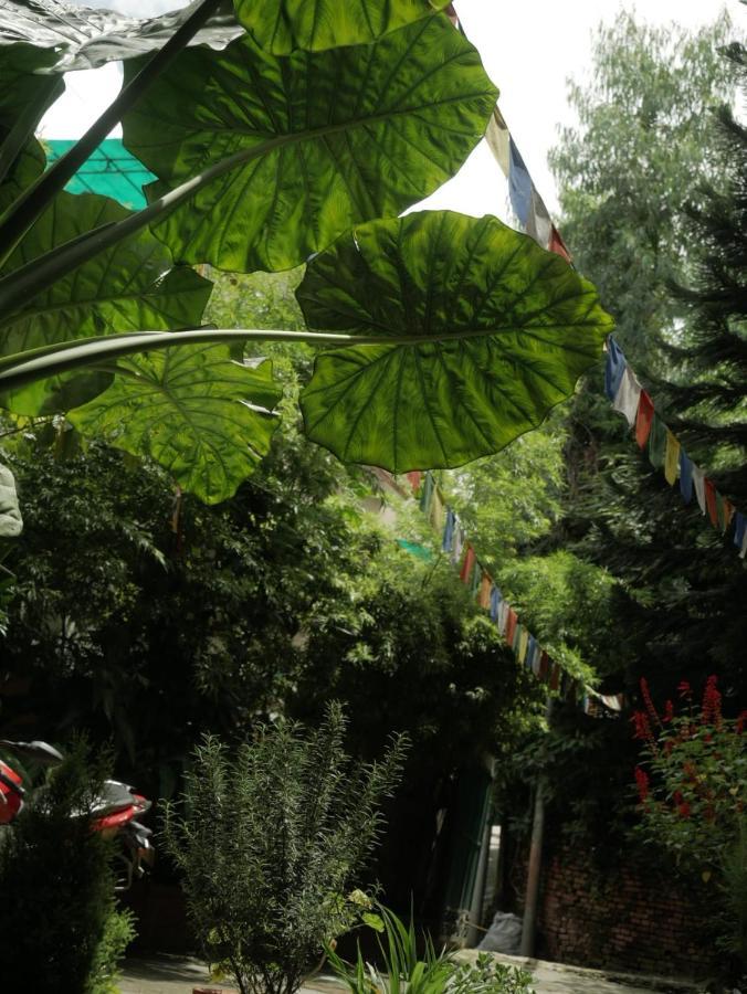 Nirvana Green Peace Home 加德满都 外观 照片
